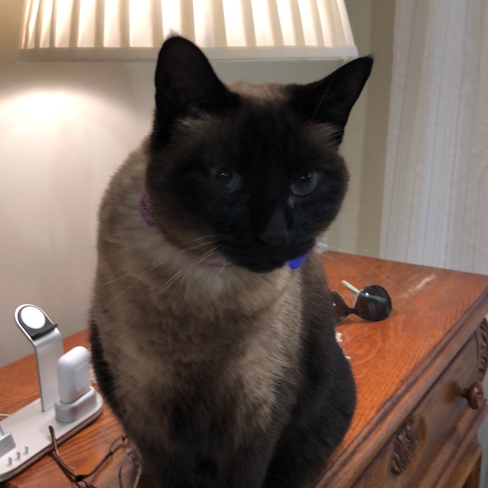 Meet your Posher, Billie